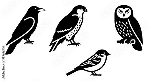 Various Bird Silhouettes Illustration Set Featuring Crow, Falcon, Owl, and Sparrow