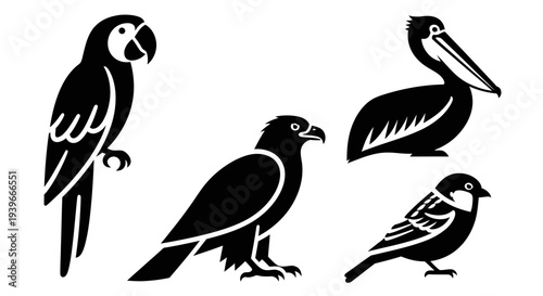 Various Bird Silhouettes Set: Parrot, Eagle, Pelican, Small Bird Graphics