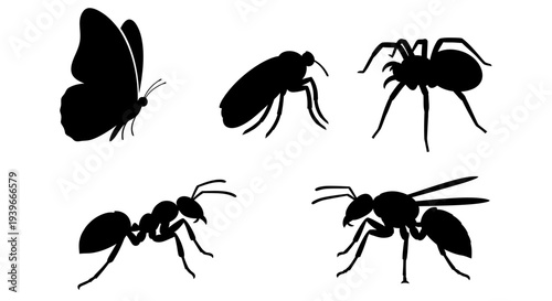 Various insect silhouettes collection: butterfly, spider, ant, beetle, wasp graphic set