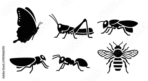 Various Insect Silhouettes Set: Butterfly, Grasshopper, Bee, Ant, and Beetle Icons