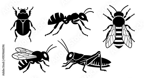 Various insect silhouettes set: beetle, ant, bee, wasp, grasshopper icons