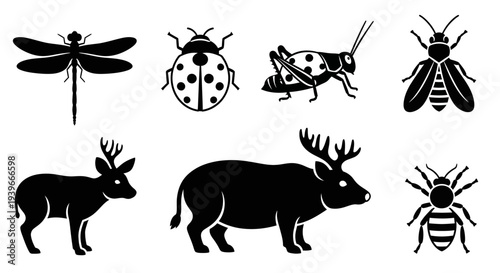 Wildlife and Insect Silhouettes Set: Deer, Boar, Dragonfly, Ladybug, Bee, Grasshopper, Spider Icons