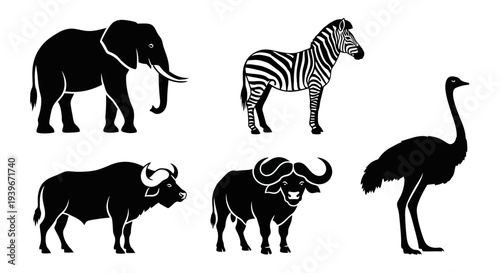 African Wildlife Silhouettes Set: Elephant, Zebra, Buffalo, Ostrich Vector Icons