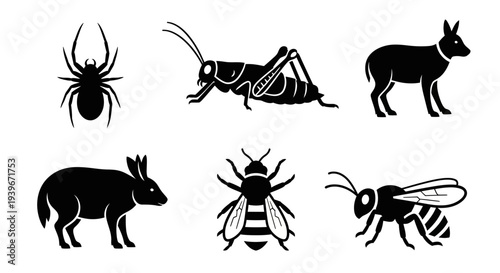 Animal and Insect Silhouettes Collection: Wildlife Icons Set