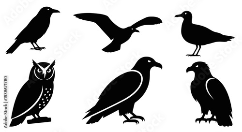 Bird Silhouettes Collection: Diverse Avian Species in Black and White Graphic Icons