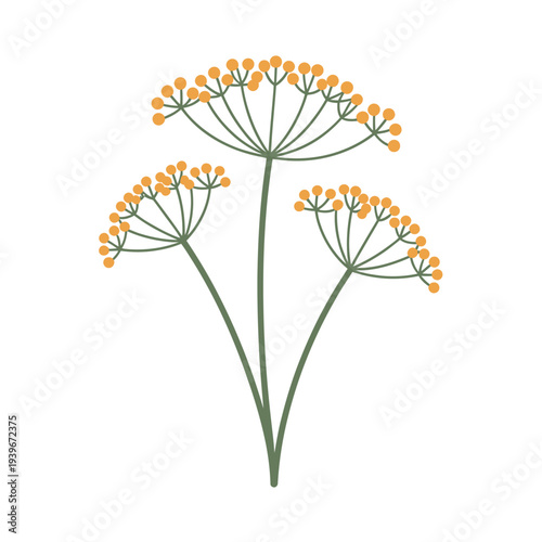three green stems with yellow flowers on transparent background