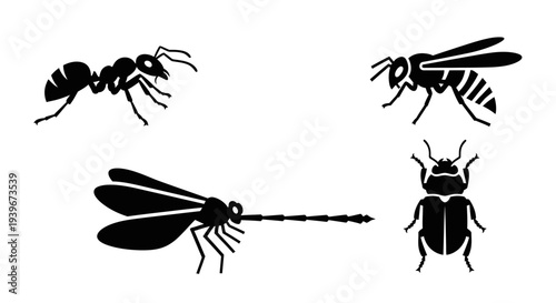 Collection of Insect Silhouettes: Ant, Wasp, Dragonfly, and Beetle Icons