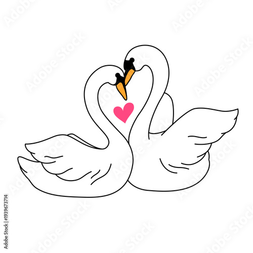 A couple of love swans making a heart silhouette, simple cartoon style drawing