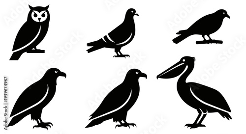Collection of Various Bird Silhouettes: Owl, Pigeon, Eagle, and Pelican Icons Set