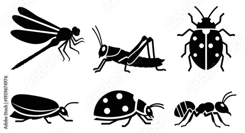 Collection of various insect silhouettes: dragonfly, grasshopper, ladybug, beetle, and ant icons