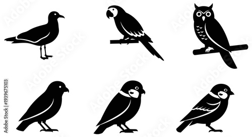 Diverse Bird Silhouettes Set: Owl, Parrot, Seagull, and Small Birds Vector Icons