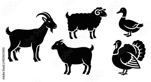 Farm Animals Silhouettes Collection: Goat, Sheep, Duck, Turkey Icons