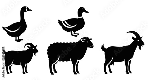 Farm Animals Silhouettes Collection: Goose, Duck, Sheep, and Goats