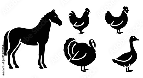 Farm Animals Silhouettes Collection: Horse, Chicken, Turkey, Goose Vector Icons