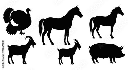 Farm Animals Silhouettes Collection: Turkey, Horses, Goats, and Pig on White Background