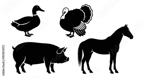 Farm animals silhouettes collection. Duck, turkey, pig, and horse black icons.