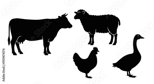 Farm Animals Silhouettes: Cow, Sheep, Chicken, and Goose Livestock Vector Illustration