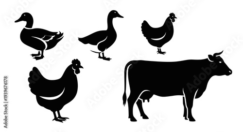 Farm Animals Silhouettes: Cow, Chickens, and Ducks Livestock Collection