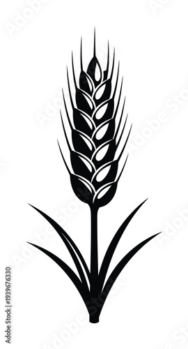 Vector of a single stem of wheat with ears and leaves in
