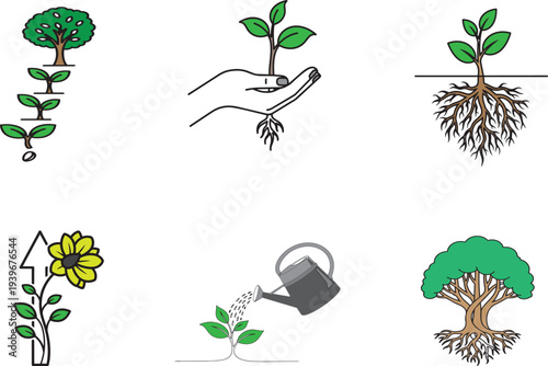Comprehensive set of growth and nature icons illustrating plant life cycle, from seed to mature tree, including care
