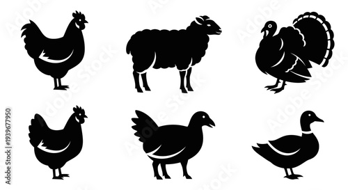 Farm Animals Silhouettes Set: Chicken, Sheep, Turkey, Duck Icons