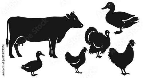 Farm Animals Silhouettes Set: Cow, Turkey, Ducks, and Chickens