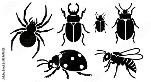 Insect and Spider Silhouettes Vector Set: Beetle, Ladybug, Bee, Arachnid Icons