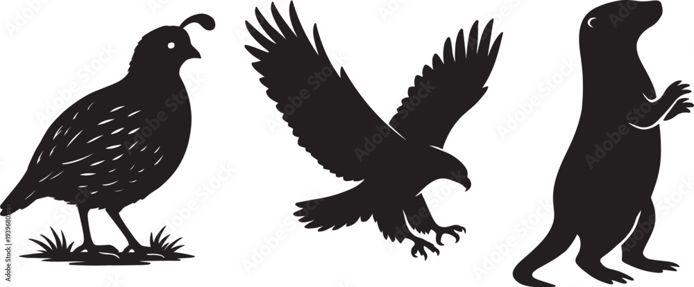Obraz premium Quail, Eagle, and Otter Silhouettes