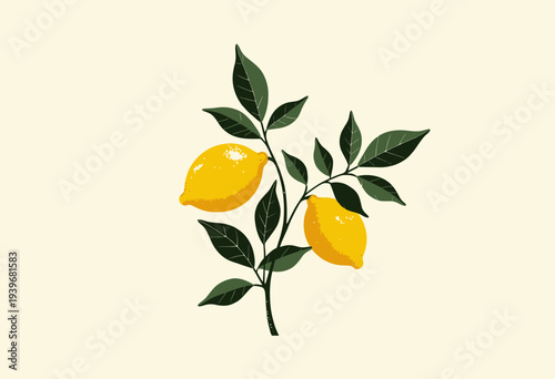 Illustration of Vibrant Lemons on a Branch with Lush Green Leaves Against a Simple Cream Background Highlighting Botanical Beauty and Citrus Freshness