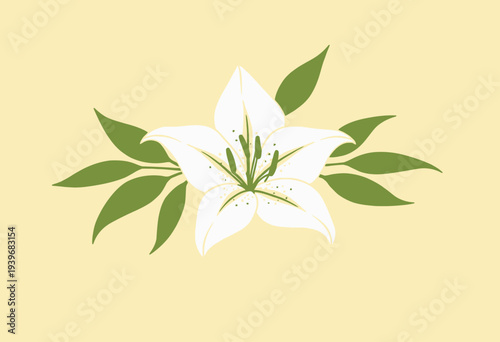Elegant white lily illustration with green leaves arranged symmetrically against a soft yellow background, capturing the essence of natural beauty and simplicity.