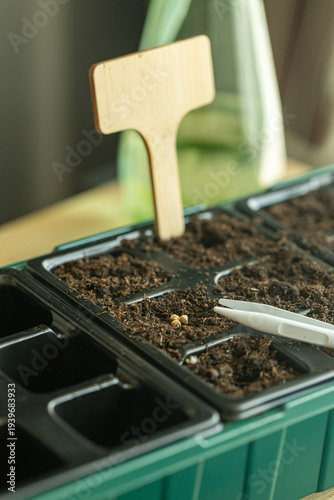 Fotografie Seed trays with soil and plant markers