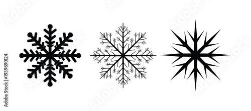 Three distinct vector snowflake designs showcasing different geometric patterns and symmetrical structures in