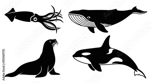 Marine Animals Silhouettes Set: Whale, Orca, Seal, and Squid Vector Icons