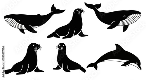 Marine Mammals Silhouettes Set: Whales, Seals, and Dolphin Vector Icons