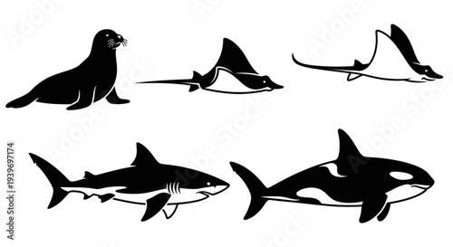 Ocean wildlife silhouettes: seal, shark, manta ray, and orca vector set