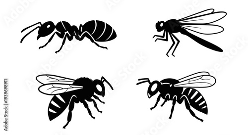 Various Insect Silhouettes: Ant, Dragonfly, and Bees. Vector Bug Icons Set