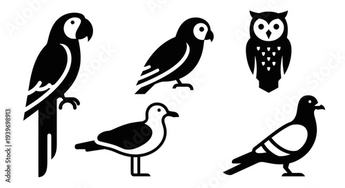 Various Bird Icons Set: Parrot, Owl, Seagull, and Pigeon Silhouettes
