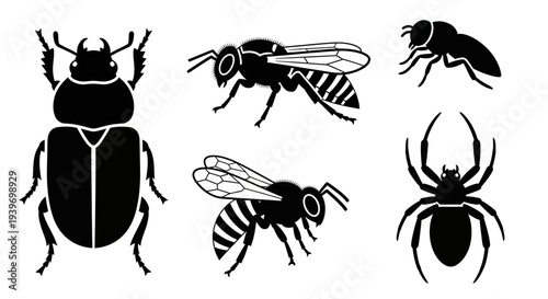 Various Insect Silhouettes Collection: Beetle, Bees, Fly, Spider Vector Icons