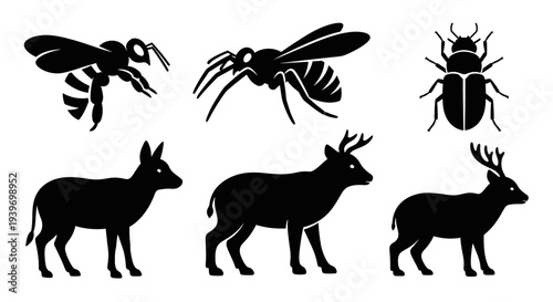 Wildlife Silhouettes Collection: Insects and Deer Icons