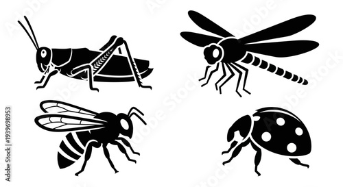 Vector Insect Silhouettes: Grasshopper, Dragonfly, Bee, Ladybug Icons