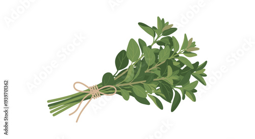 A neatly tied bunch of fresh green herbs, possibly oregano or marjoram, is presented against a clean white background.