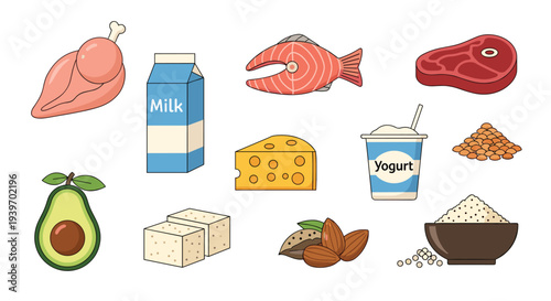 A comprehensive collection of protein-rich foods is neatly displayed on a white background, including various meats, dairy, and plant-based options.