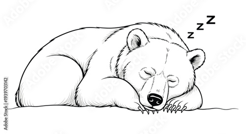 Black and white outline drawing of a large polar bear sleeping peacefully on the ground with dream symbols floating above head.