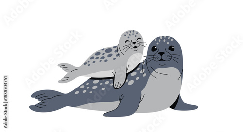 Beautiful grey seal mother swimming gracefully with her cute baby pup resting on her back against a white background.
