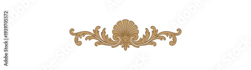 Decorative floral ornament design against black backdrop isolated