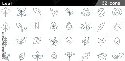 Leaf Thin Line Icons Set Botanical Foliage, Plant Shapes, Nature Symbols, Organic Leaves and Environmental Vector Graphics for Green Branding