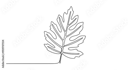 Minimalist single line drawing of a detailed leaf with prominent veins and lobed edges