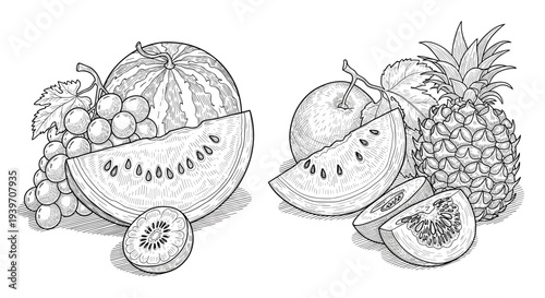 Vintage illustration of a fruit assortment including watermelon, grapes, kiwi, apple, and pineapple