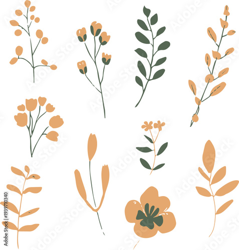 Colorful summer flowers growing in the garden on white background