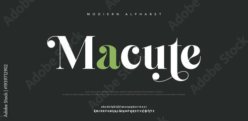 Modern Alphabet Macute Typography Design